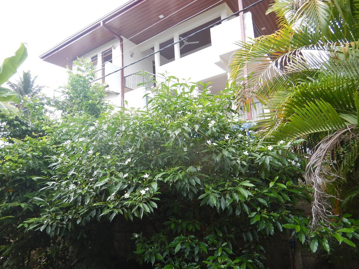 Suwani Pinnawala Homestay エクステリア 写真