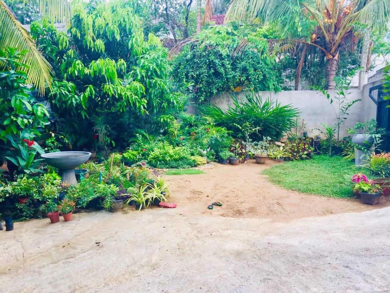 Suwani Pinnawala Homestay エクステリア 写真